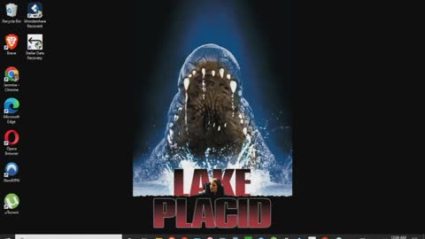 Lake Placid Review