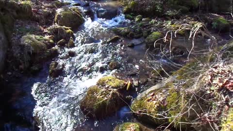 Mountain River number 5 , Great Smoky Mountains.