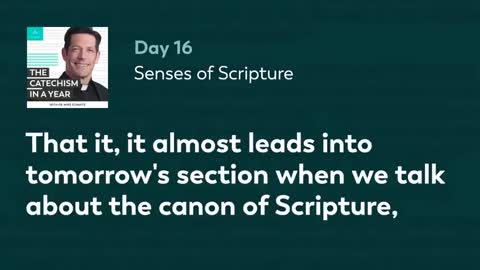 Day 16: Senses of Scripture — The Catechism in a Year (with Fr. Mike Schmitz)