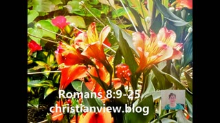 Romans 8:9-25