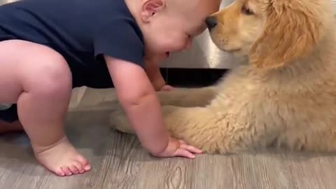 Baby and dog