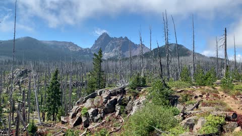 Central Oregon - Mount Jefferson Wilderness - Three Fingered Jack from the Pacific Crest Trail