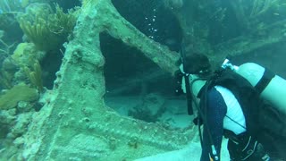 Diving the wreck of the Marie Celeste in Bermuda.