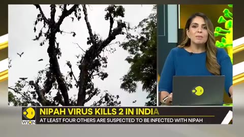 Nipah: Bat virus deadlier than Covid kills two in Indian state of Kerala | Gravitas