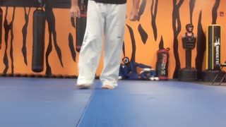 Spinning Heel Kick