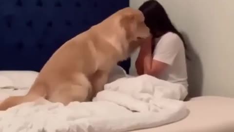 Dog with girl owner