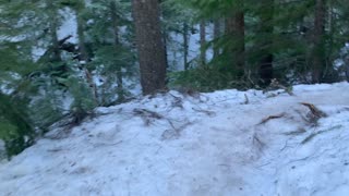 Alpine Ice Hiking – Tamanawas Falls – Mount Hood – Oregon