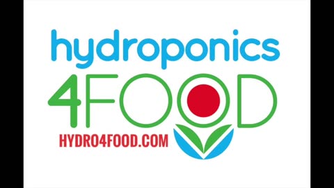 DIY Hydroponic System in 10 EASY Steps START TO FINISH