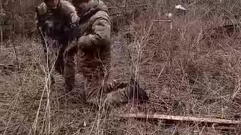 Video of the capture of the AFU soldiers who did not have time to escape from Avdeevka.