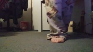 My Feets ASMR