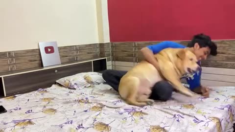 "Epic Showdown: Dog vs. Caretaker - Hilarious Battle of Wits!"