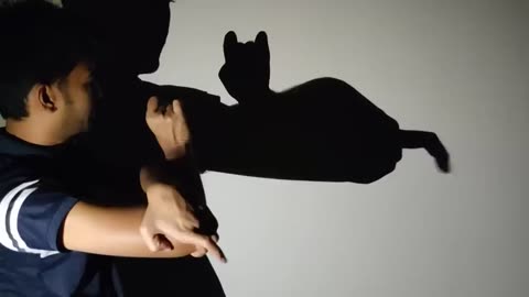 Hand Shadow Puppet Tutorial _ Handicraft