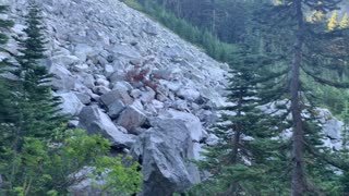 Oregon - Mount Hood - Mighty Avalanche of Boulders