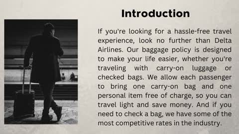 Delta Airlines baggage policy
