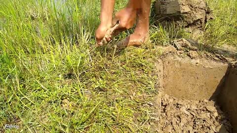 Amazing Hole Fish Trap- Smart Boy Build Fish Trap By Muddy soil ..