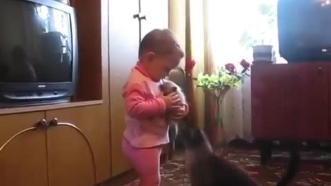 Mama Cat Takes Back Crying Kitten From Toddler