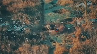 💥🇷🇺 Russia Ukraine War | Russian Soldier Sent Flying by FPV Kamikaze Drone Strike | RCF