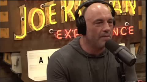 JOE ROGAN on MACKENZIE BEZOS SECOND DIVORCE