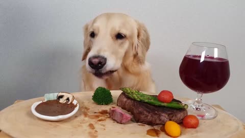 My Dog Eating Show Steak& Wine Asparagus Mukbang