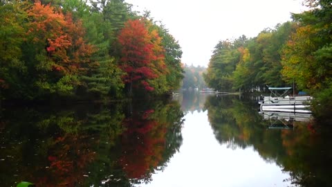 Fall Foliage