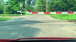 Pleasant Surprise for Disappointed Driver at Train Crossing