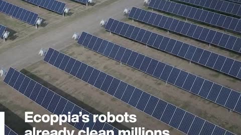 These robots can clean solar panels to maximize energy output of solar farms!