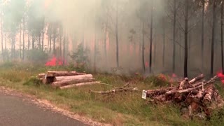 Europe burns as Britain braces for record heat