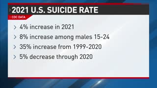 Suicides On The Rise