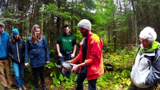 How to safely pick up & move snapping turtles when needed