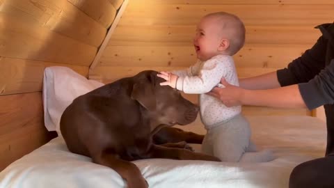 Cutest morning kiss ever! Watch heartwarming wake up call between my baby and my dog