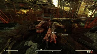 Fallout 76 - Sheepsquatch Bug