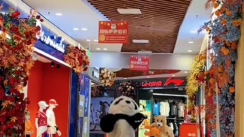 Funny Panda🐼🐼🐼🐼