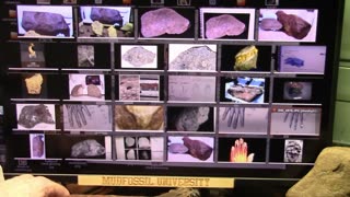 Nov 25 2023 What Metal is More Precious than Gold - Mudfossil University