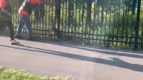 Bikers Try To Save Baby Deer from Fence