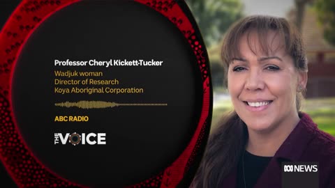 Can a Voice to Parliament improve Indigenous lives? | The Voice Referendum Explained | ABC News