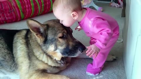 When your dog becomes the trusted nanny - Cute Moments Dog and Human