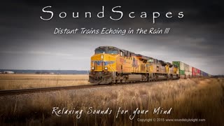 In the Rain: Echoing Thunder and Distant Train Sounds