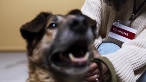 Woman Talking and Petting a Dog