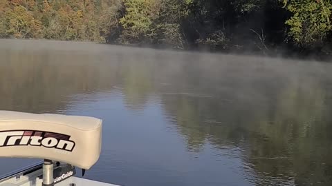 Trout on the Cumberland