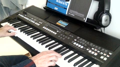 Die berühmten drei Worte (Andy Borg) cover by Henry, Yamaha PSR-SX600