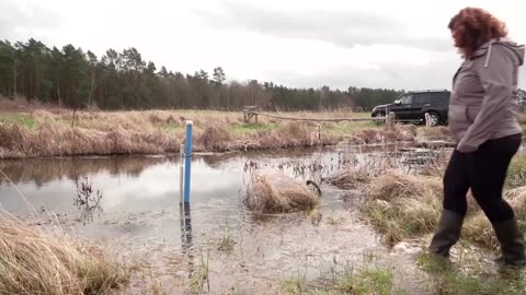 How rewetting peatland could help tackle climate change