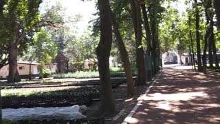 Beautiful Day for a Walk in the Park (Coyoacan, Mexico City/CDMX)
