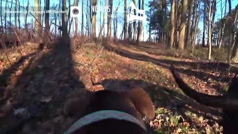 Livestreaming Rescue Dogs at the ARC! [1-8-24] // Grab coffee and enjoy the sights & sounds