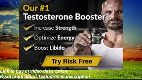 Increase Your Free Testosterone Up To 72.87% in 12 weeks with Testodren, a natural formula!