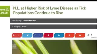 The Officially Ignored Link Between Lyme Disease and Plum Island