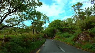 Ireland 2023 🇮🇪 Ring of Kerry - Killarney National Park