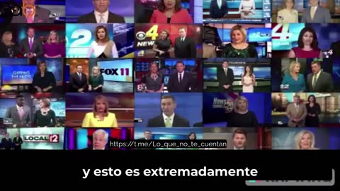 ¿Estamos en el comienzo de una extinción masiva?