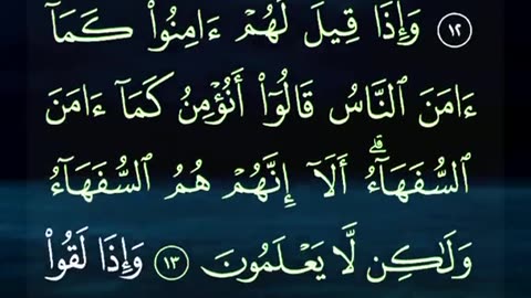 SURAH E BAKARA Beautiful Recitation Quran