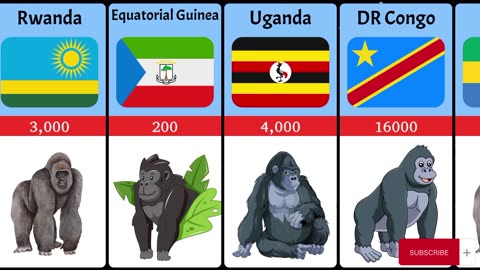 Population Of Gorilla From Different Countries
