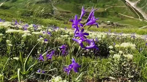 Skardu baltistan